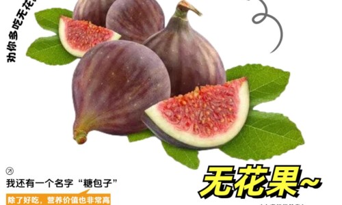 百果树叶子的功效-权威百果叶图片作品图平台,分享专业百果叶图片作品图知识_百果叶图片网