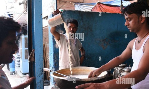 百果叶收购价格表-权威百果叶图片作品图平台,分享专业百果叶图片作品图知识_百果叶图片网