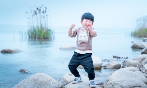 百果叶子有什么用-权威百果叶图片作品图平台,分享专业百果叶图片作品图知识_百果叶图片网